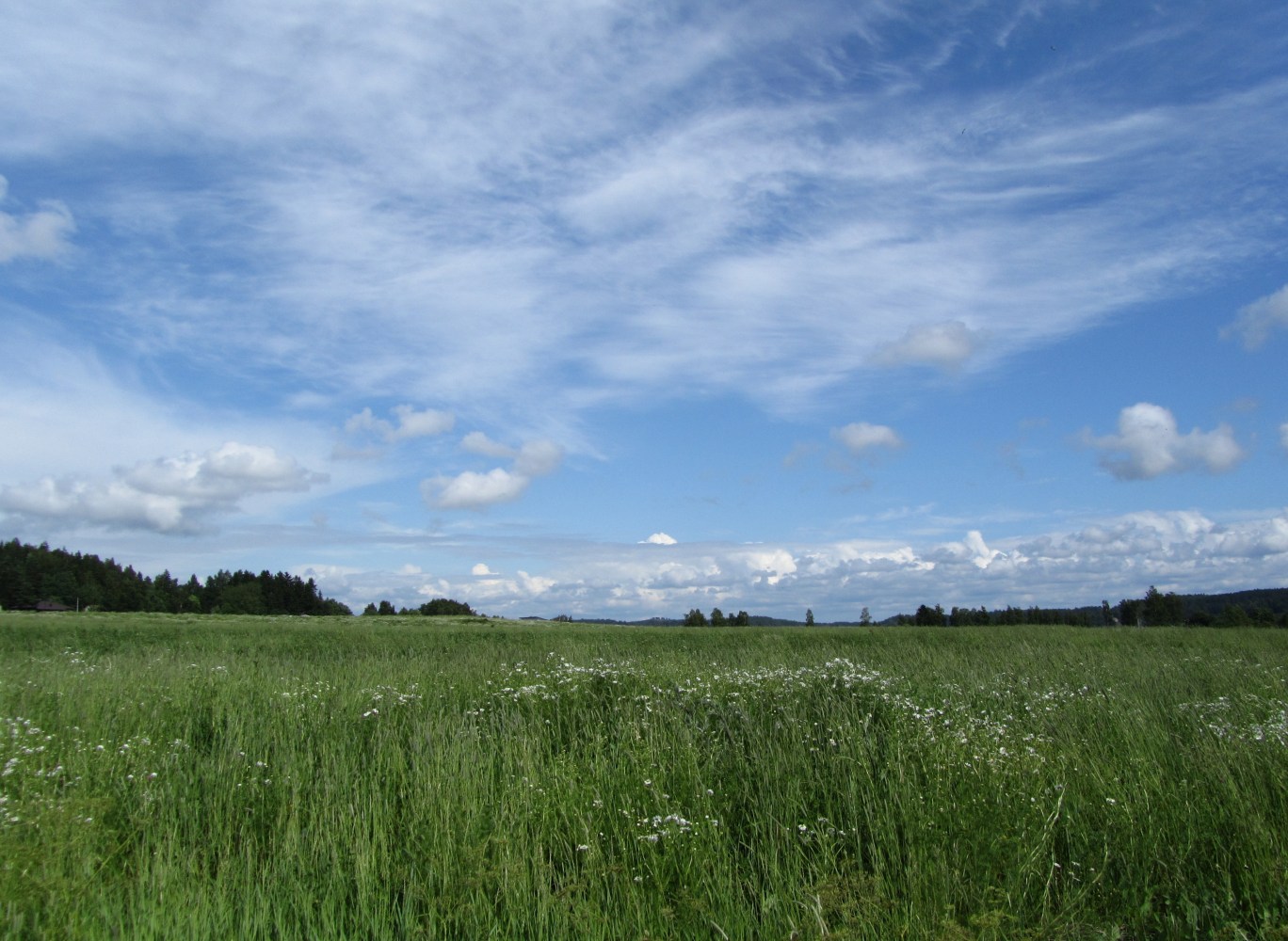 juhannuskavelylla_2011