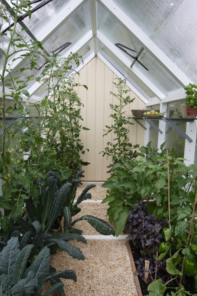 kekkila_vihervaja_sato_2