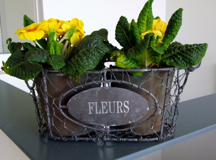 syntymäp09042012 2012-04-09 009