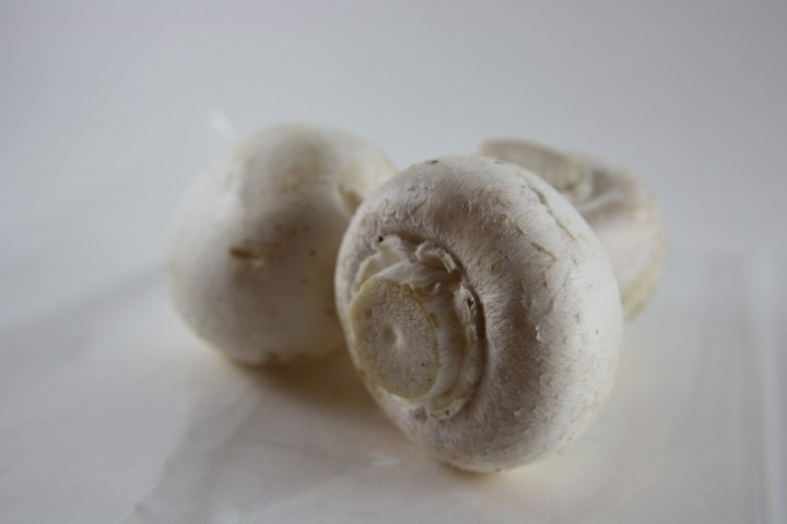 herkkusieni (1024x683)