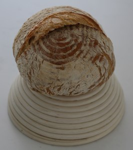 kohotuskori_3 (910x1024)