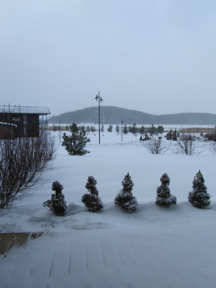 maaliskuun_3_2013 (768x1024)