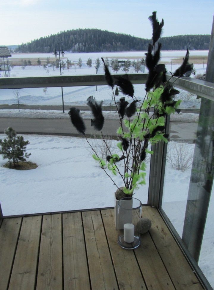 paasiainen2013 012 (756x1024)