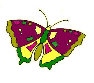 perhonen_erikoisilla_vareilla