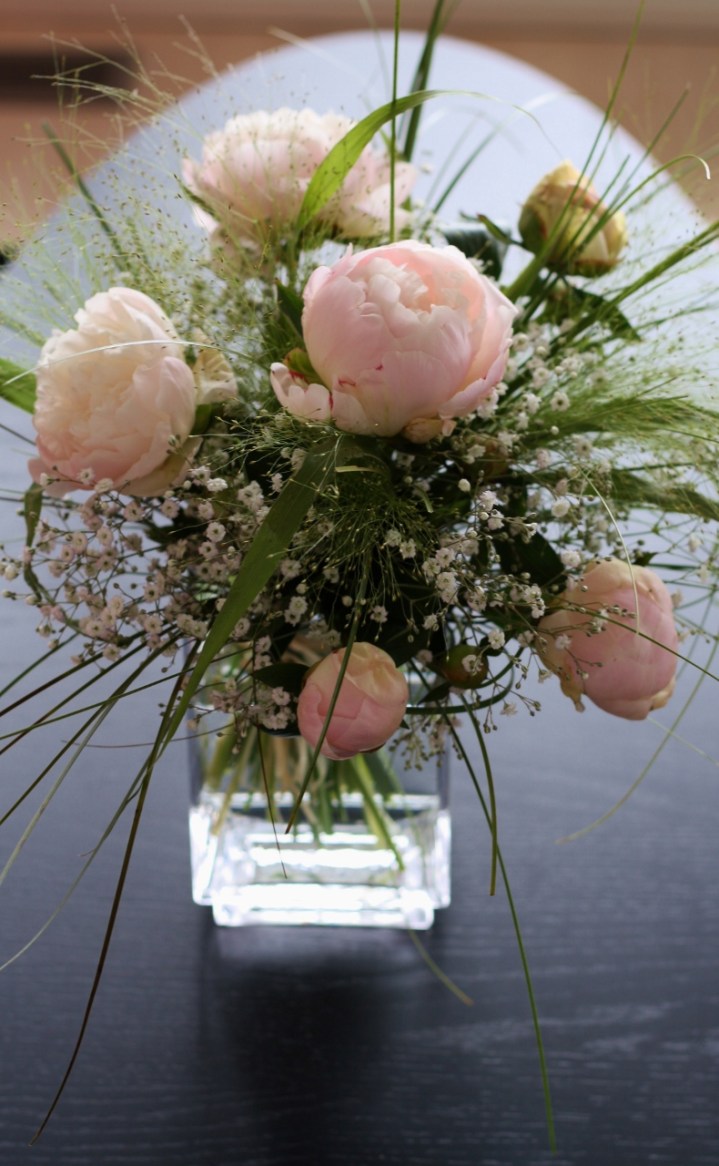 pionikimppu1 (790x1280)