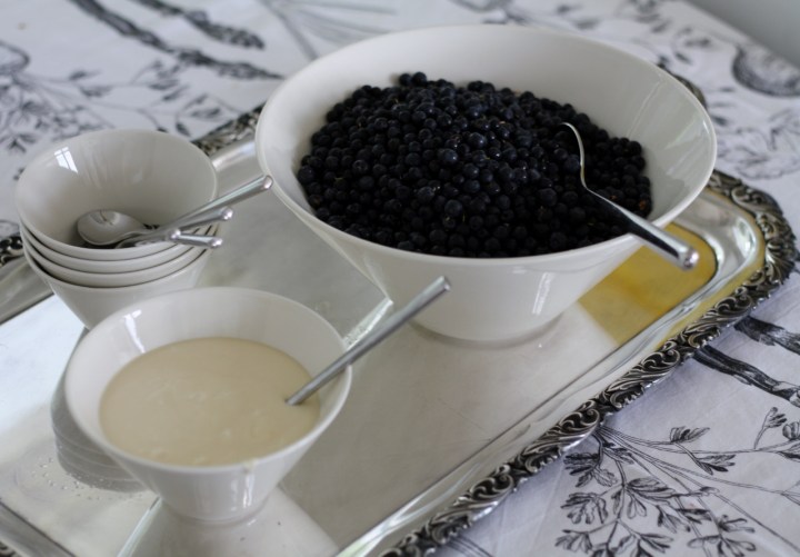 mustikat_marko_paanasen_tapaan (1280x891)