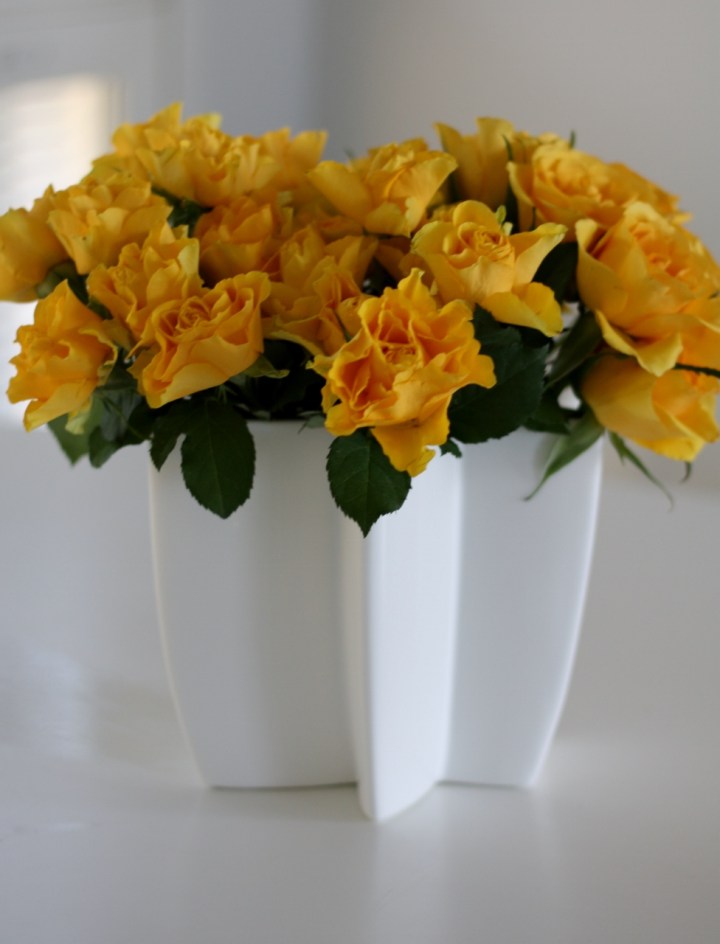 ruusut_karambolassa (976x1280)