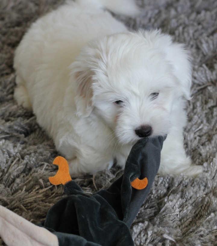 arttu_070913 (1128x1280)