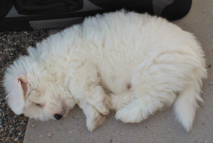 artun_eka_ulkoilupaiva (1280x861)