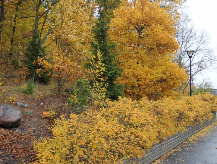 syksya_2013 (1024x775)
