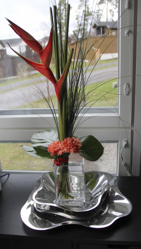 inkivaari1 (454x800)