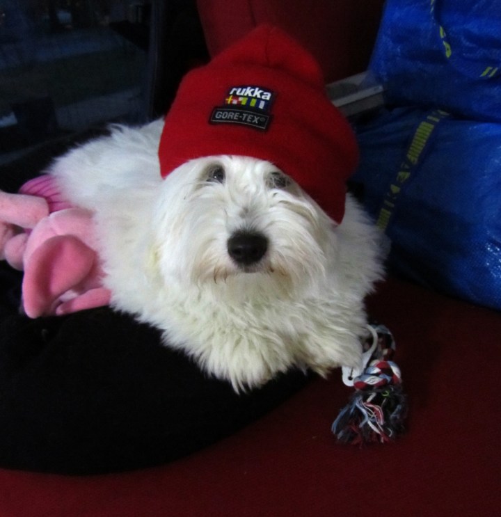 tyohuone2013 001 (1239x1280)