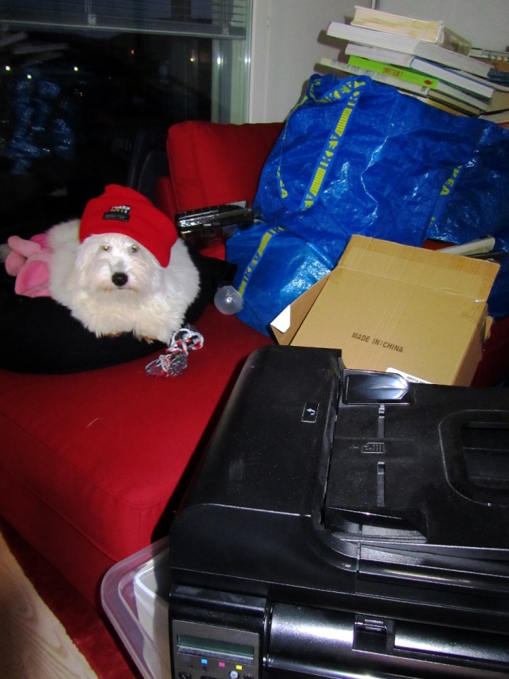 tyohuone2013 005 (960x1280)