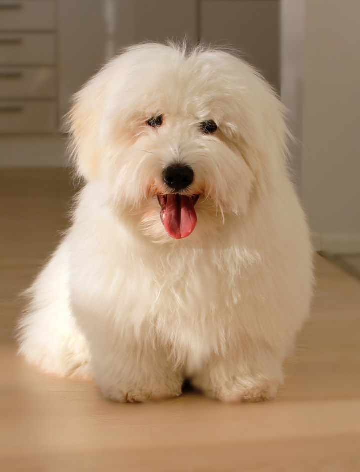 arttu012014_b (976x1280)