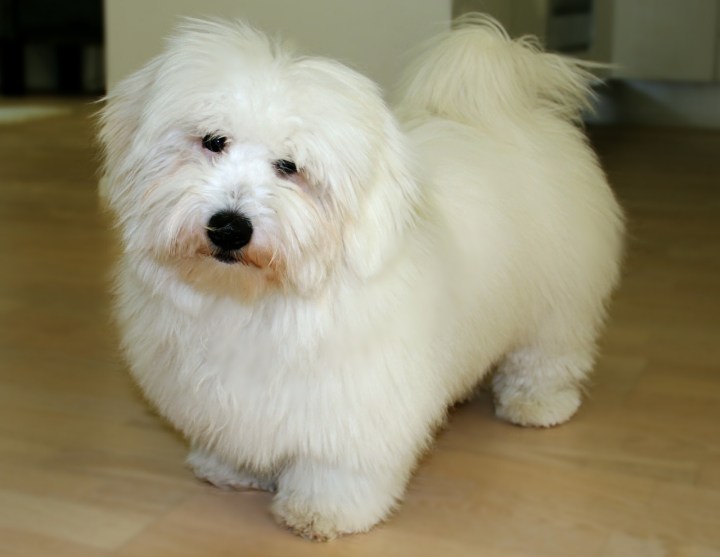 arttu012014_c (1280x991)