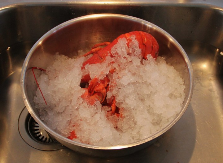 hummerit_jaahtymassa (1280x940)