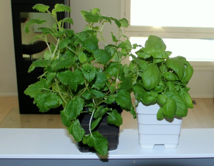 yrttiruukut3 (1280x997)