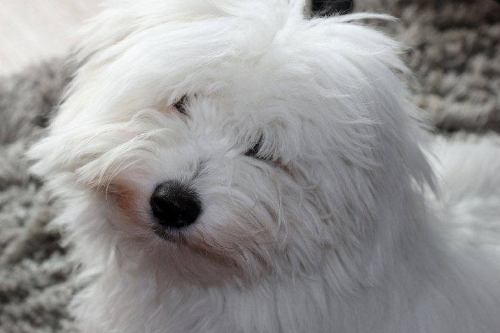 arttu_helmikuu2014 (1280x852)