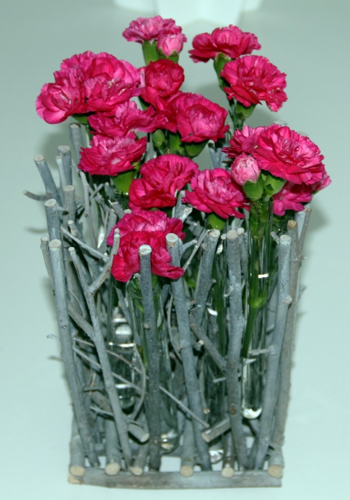 neilikat_1 (895x1280)