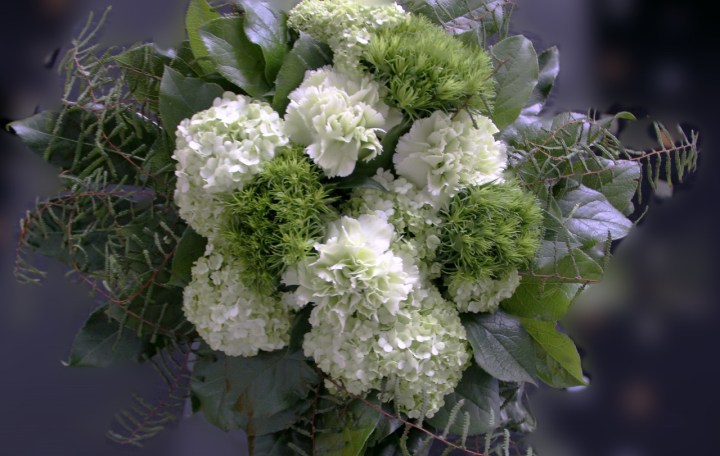 limetti_kimppu_maaliskuu_2014 (1280x812)