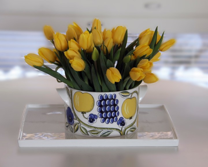 tulppaanit_2014 (1280x1025)