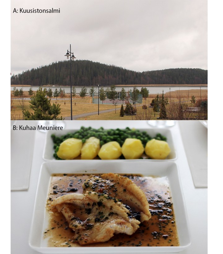 kuva_arvoitus (1030x1171)