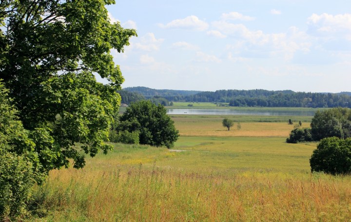 Kuusistoa_Harvaluotoon (1280x809)