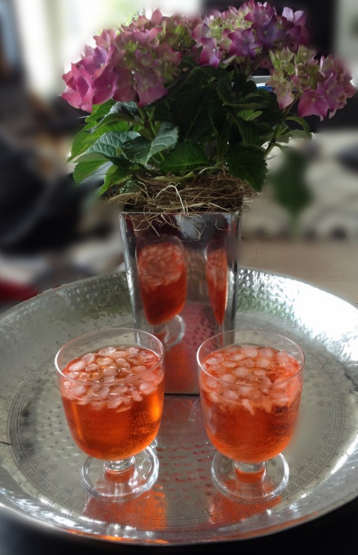 aperol_sprizer_2014 (827x1280)