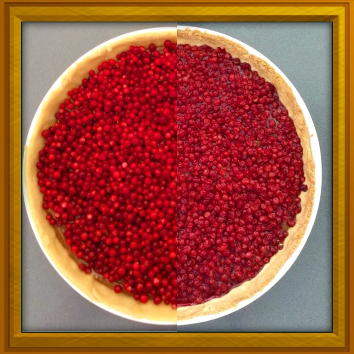 kinuski_puolukkapiirakka_tuplakuva (1000x1000)