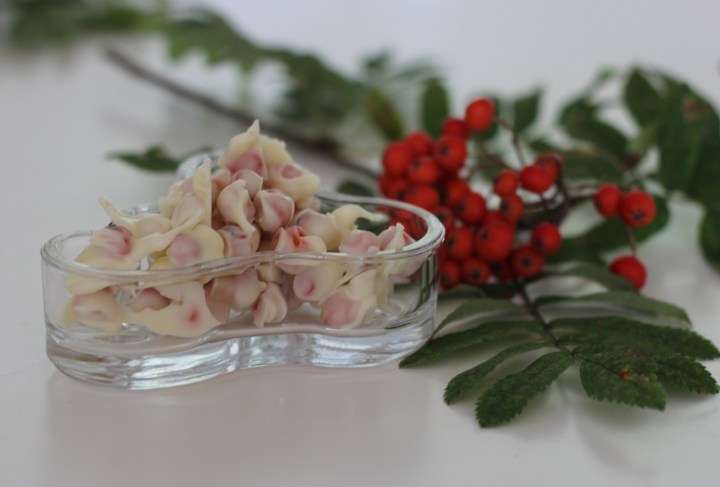 valkosuklaalla_kuorrutetut_pihlajanmarjat1 (1280x866)