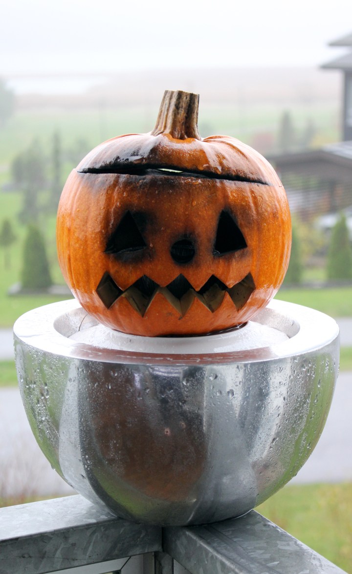 halloween_kurpitsa_jalkeen