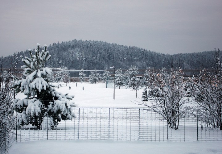 kuusisto_2014 (1280x888)