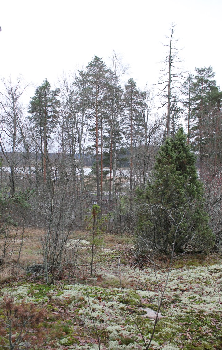 nakyma_kukkulalta_itaan