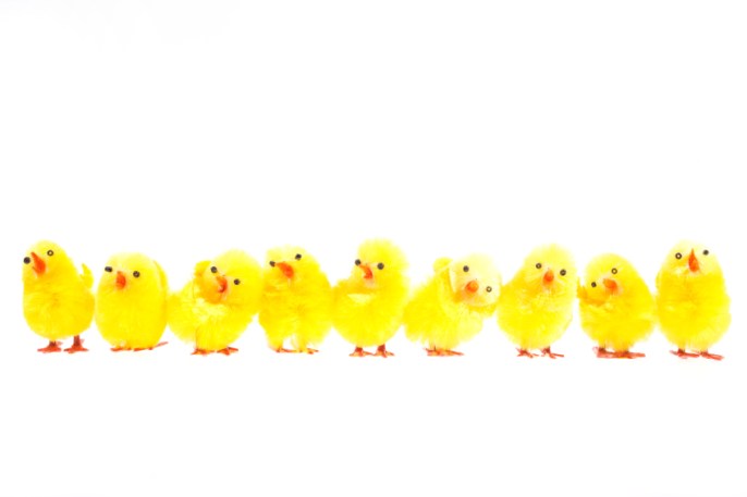 paasiaistiput2013 (2)