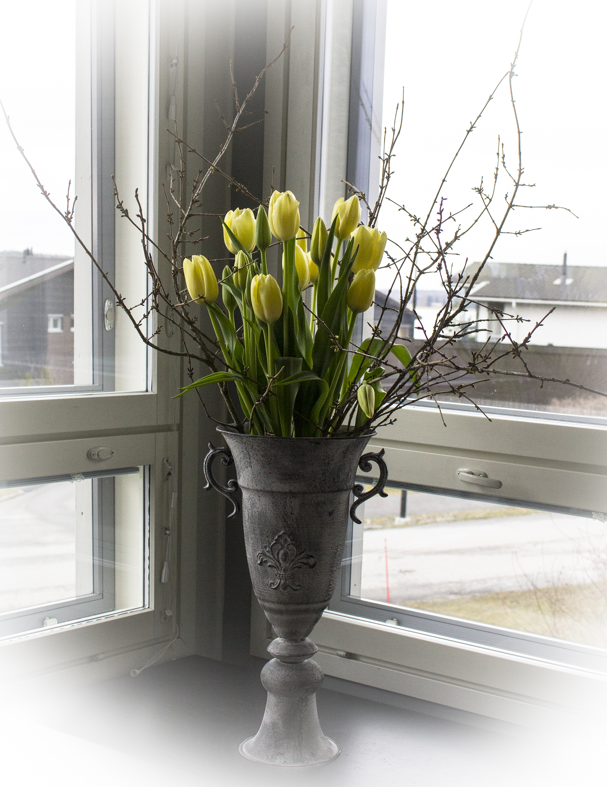 ranskalaiset_tulppaanit_kukkakauppa_katariina