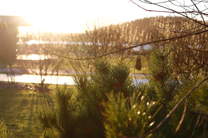 Raadelma_joulukuu_2015