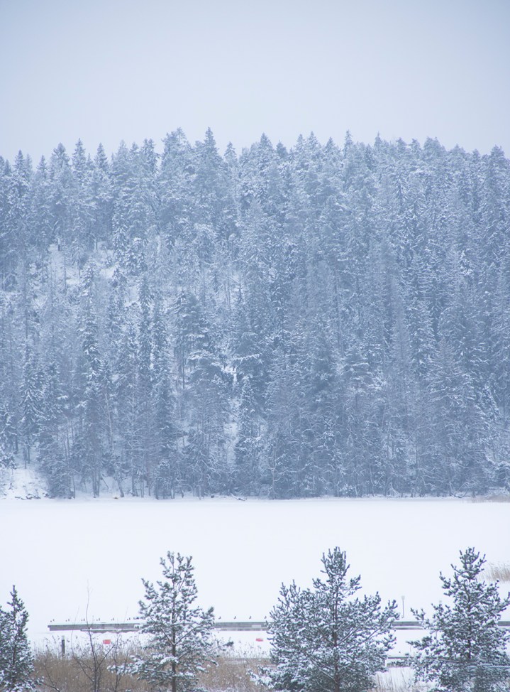 Raadelma_maisema_10102016