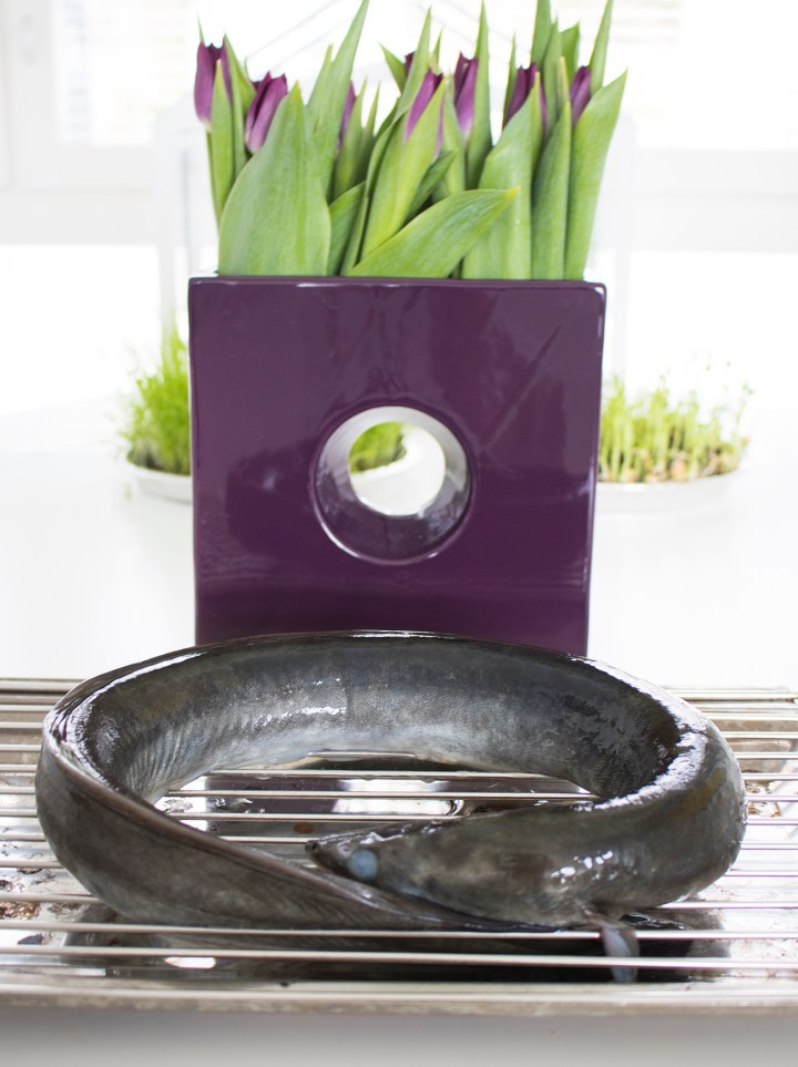 ankerias_ennen_savustusta