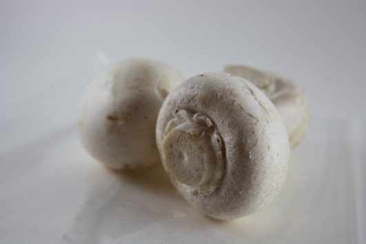 herkkusieni (1024x683)