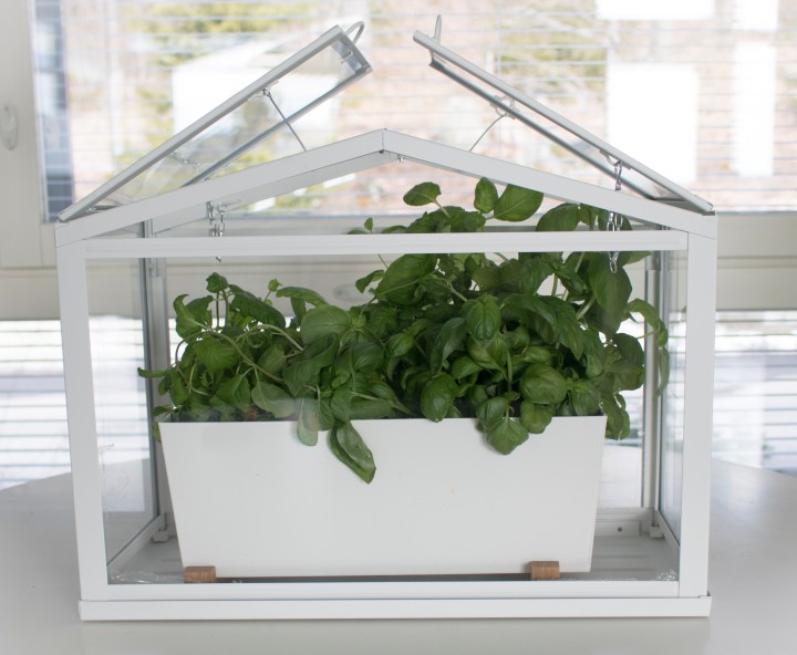 minikasvihuone_1