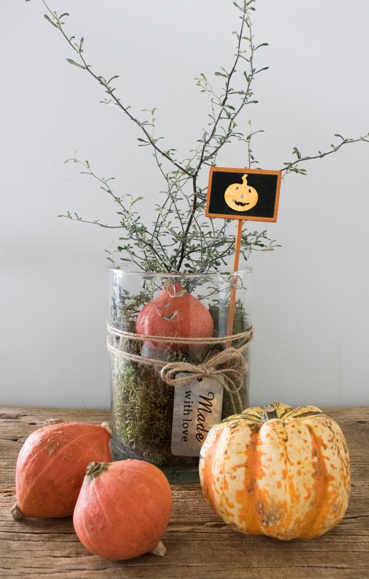 kummituspuu_kurpitsat1