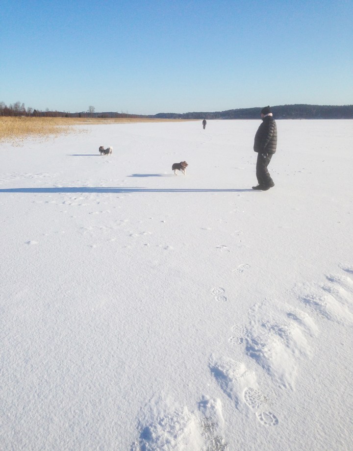 jaakavelylla_helmikuu2017