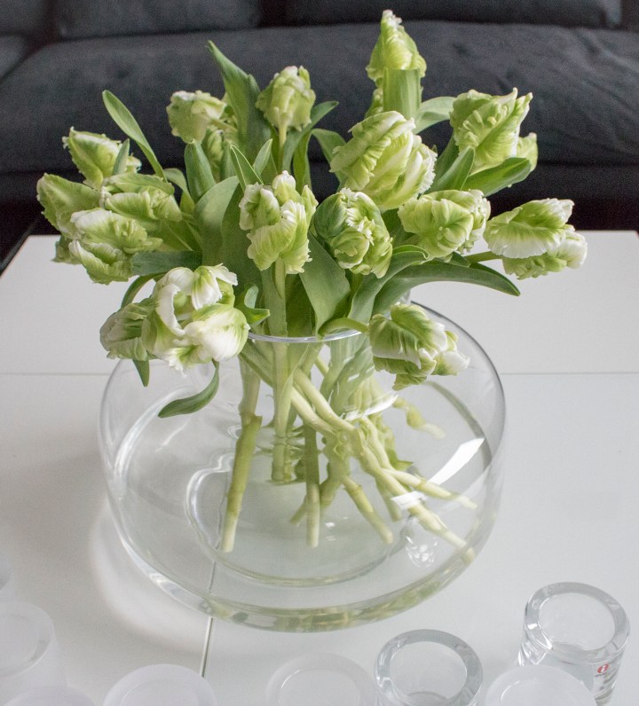 papukaijatulppaanit_urna_maljakossa1