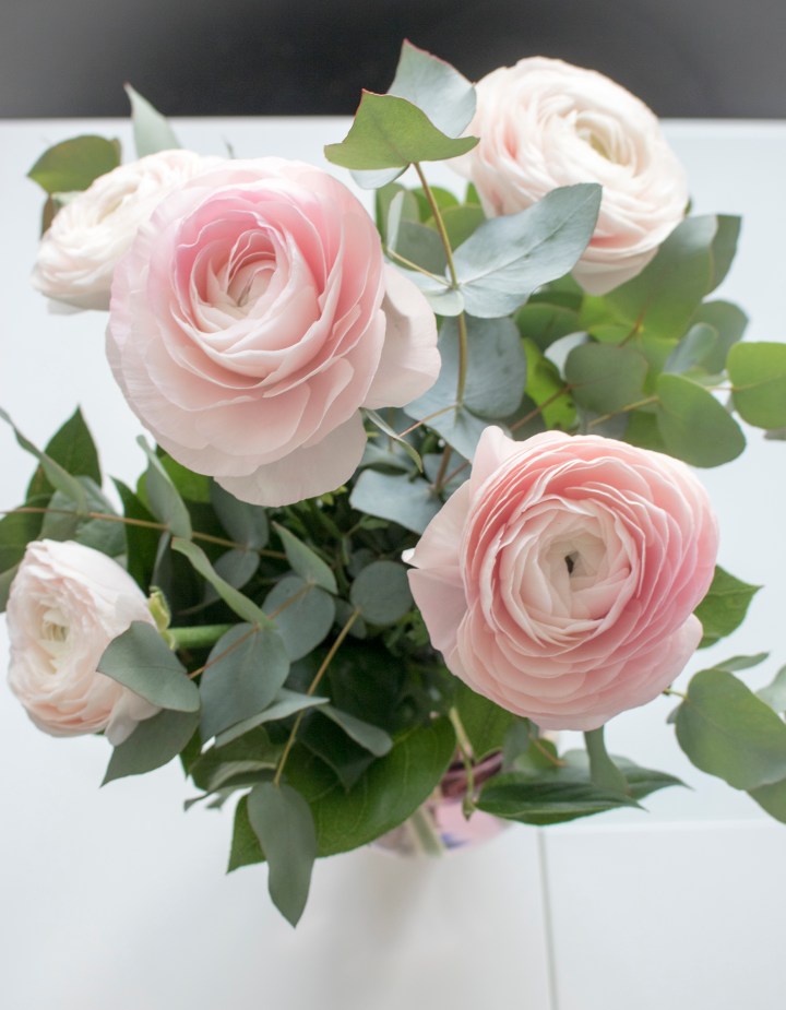 ystavanpaivan_ranunculukset_2017